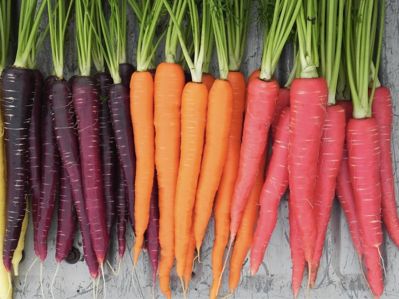 Carrot-Nutri-Red-Sugarsnax-Purplesnax