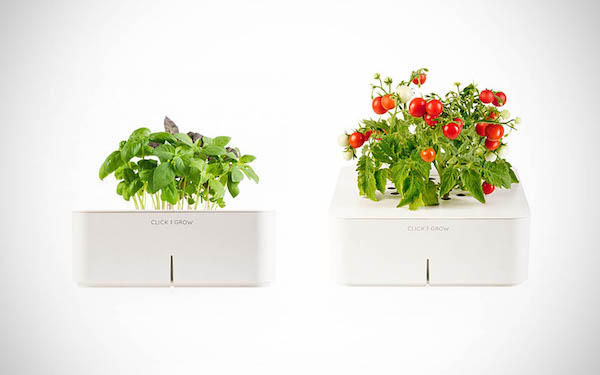 Click-and-Grow-Smartpots